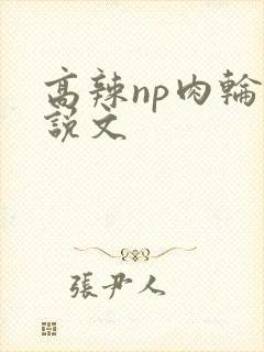 高辣np肉轮小说文