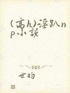 (高h)淫趴np小说封面