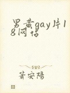男黄gay片18网站封面