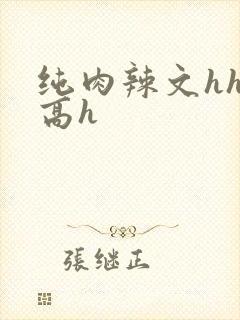 纯肉辣文hhh高h