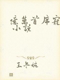亿万首席宠上瘾 小说