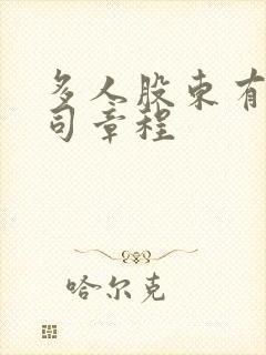 多人股东有限公司章程
