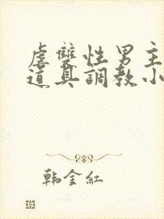虐双性男主身的道具调教小说封面