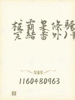 校霸是条骚狗(完结番外)笔趣阁by出品