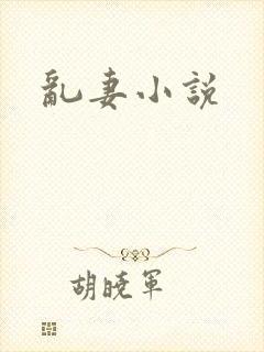 乱妻小说