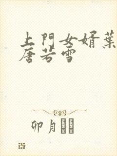 上门女婿叶凡与唐若雪封面