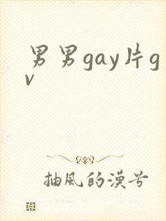 男男gay片gv封面