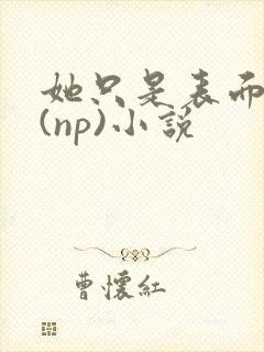 她只是表面清纯(np)小说