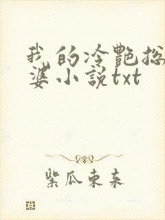 我的冷艳总裁老婆小说txt