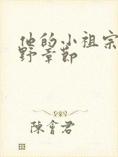 他的小祖宗甜又野章节封面