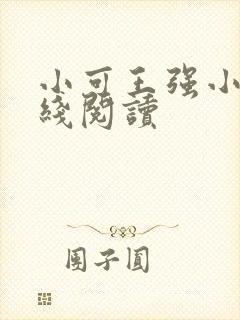 小可王强小说在线阅读