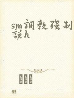 sm调教强制小说h