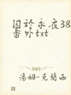 囚于永夜38章番外txt