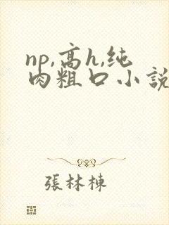 np,高h,纯肉粗口小说