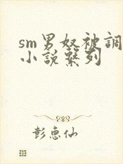 sm男奴被调教小说系列