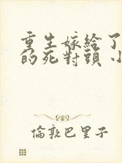 重生嫁给了前夫的死对头 小说