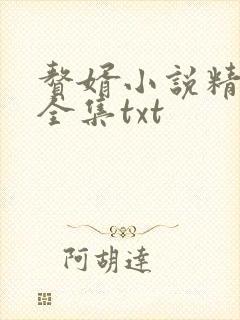 赘婿小说精校版全集txt