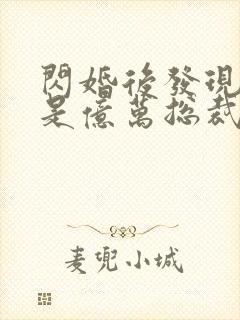 闪婚后发现老公是亿万总裁小说免费阅读封面