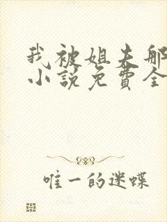 我被姐夫那些年小说免费全文阅读
