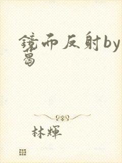 镜面反射by九葛