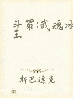 斗罗:武魂冰龙王