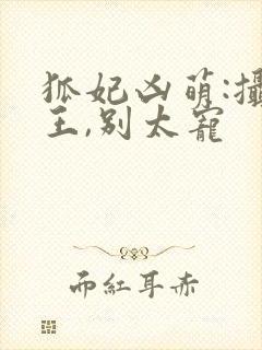 狐妃凶萌:摄政王,别太宠