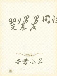 gay男男同性交基友