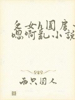 攵女h圆房～h嗯啊乱小说封面