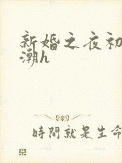新婚之夜初尝高潮h封面