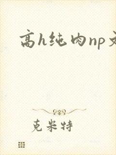 高h纯肉np文