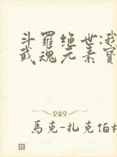 斗罗绝世:我的武魂元素宝典免费阅读