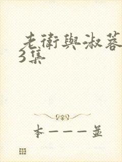 老卫与淑蓉第13集封面