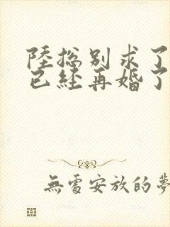 陆总别求了夫人已经再婚了短剧