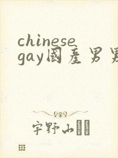 chinesegay国产男男