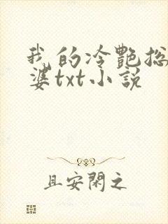 我的冷艳总裁老婆txt小说