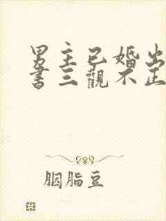 男主已婚出轨秘书三观不正