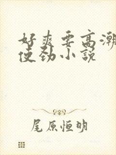 好爽要高潮了快使劲小说