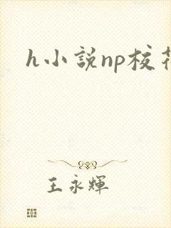 h小说np校花