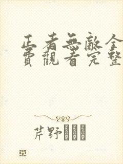 正者无敌全集免费观看完整版