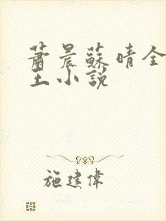 萧晨苏晴全能兵王小说