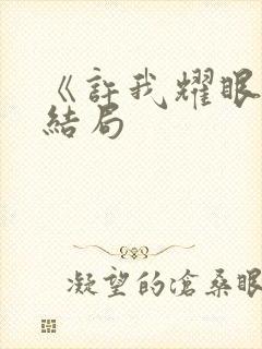 《许我耀眼》大结局封面