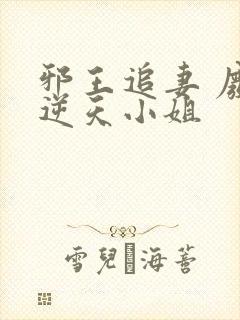 邪王追妻 废材逆天小姐