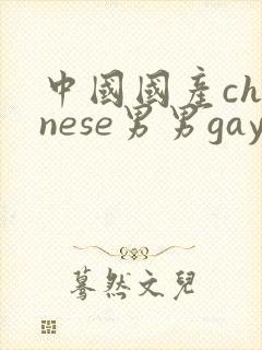 中国国产chinese男男gay gay网站