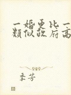 一婚更比一婚高类似政府高干