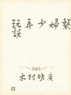 玩弄少妇系列小说