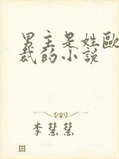 男主是姓欧的总裁的小说