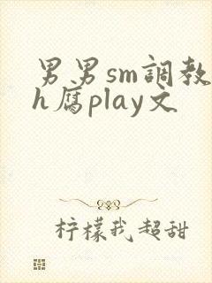 男男sm调教高h腐play文