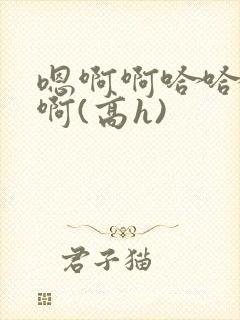 嗯啊啊哈哈啊啊啊(高h)
