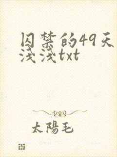 囚禁的49天顾浅浅txt封面