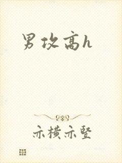 男攻高h